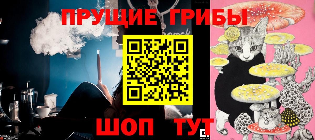 Псилоцибиновые грибы мухоморы Зеленогорск