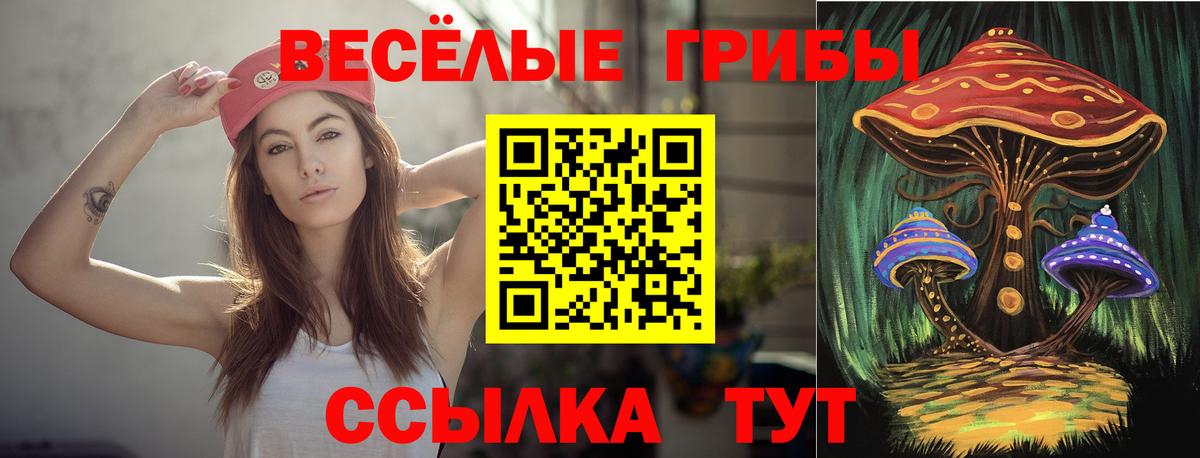 Зеленогорск  Псилоцибиновые грибы прущие грибы  Вход с VPN  Галлюциногенные грибы Magic Shrooms 